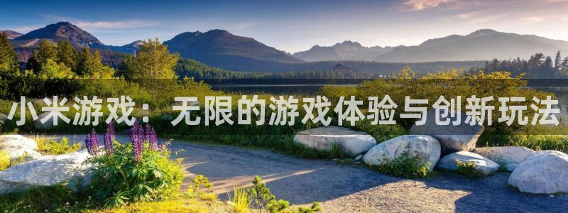 极悦娱乐网页登录入口下载：小米游戏：无限的游戏体验与创新玩法