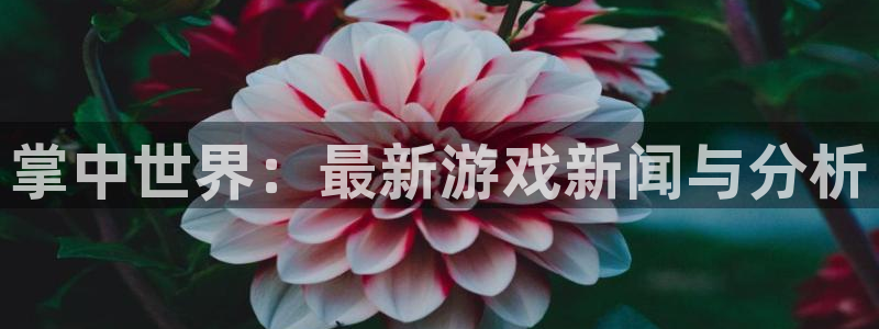 极悦娱乐是什么
