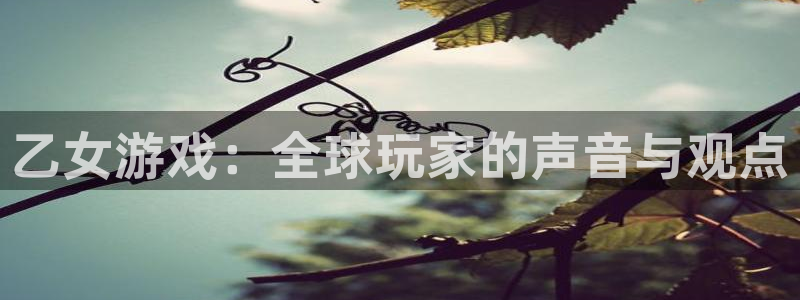 极悦娱乐平台官网注册：乙女游戏：全球玩家的声音与观点