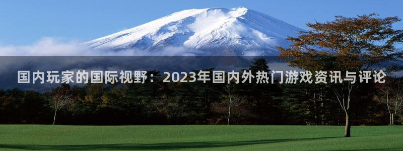 极悦娱乐科技：国内玩家的国际视野：2023年国内外热门游戏资