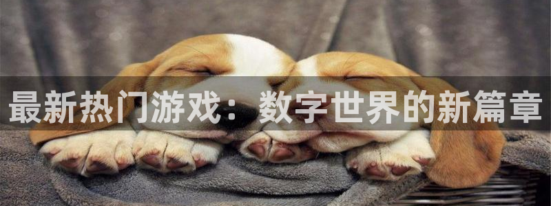 极悦娱乐娱乐是真的吗:最新热门游戏:数字世界的新篇章