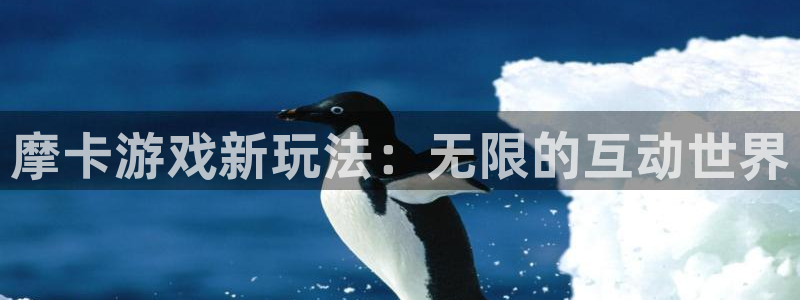 极悦娱乐登陆
