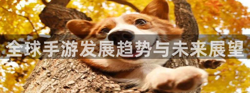 极悦娱乐升级5994月：全球手游发展趋势与未来展望
