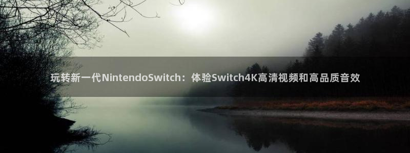 极悦娱乐平台官方网站：玩转新一代NintendoSwitch