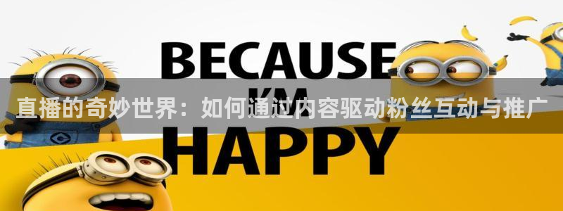 178zb6直播体育足球