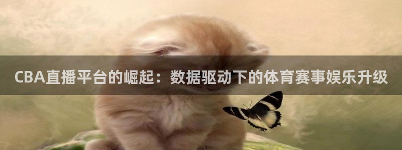 178zb8直播体育足球：CBA直播平台的崛起：数据驱动下的体育赛事娱乐升级