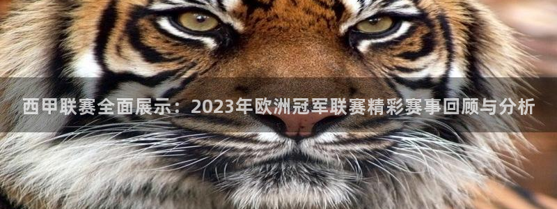 178直播nba：西甲联赛全面展示：2023年欧洲冠军联赛精彩赛事回顾与分析